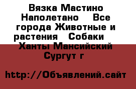 Вязка Мастино Наполетано  - Все города Животные и растения » Собаки   . Ханты-Мансийский,Сургут г.